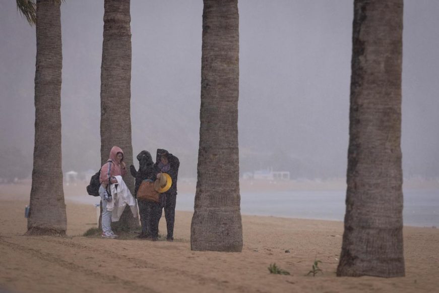FOTOGRAFÍA. (SANTA CRUZ DE TENERIFE) ESPAÑA, 14.03.2022. En la imagen tres turistas se resguardan debajo de unas palmeras del viento y la lluvia en la playa de Las Teresitas. Efe