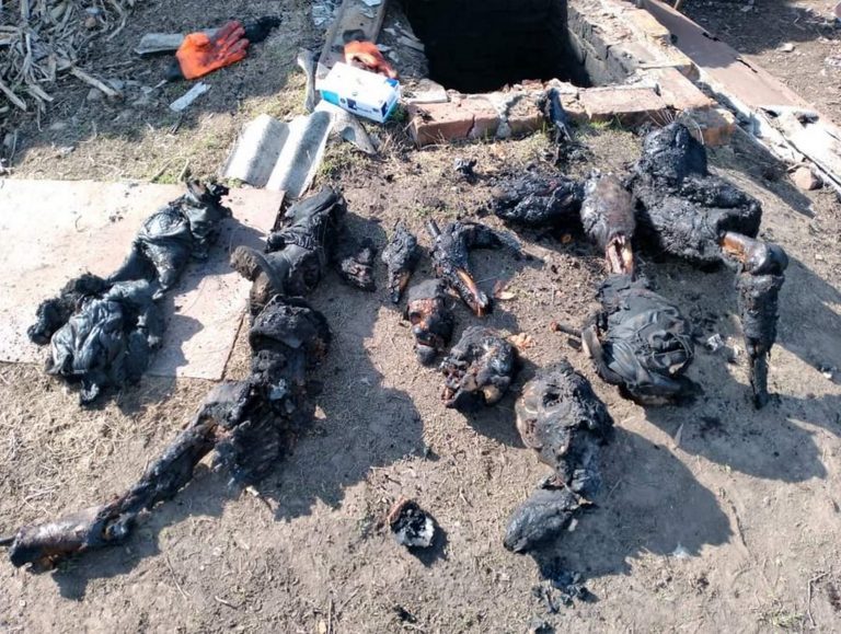 «La agresión rusa no tenía el objetivo de limitarse sólo a Ucrania sino la destrucción de todo el proyecto europeo»