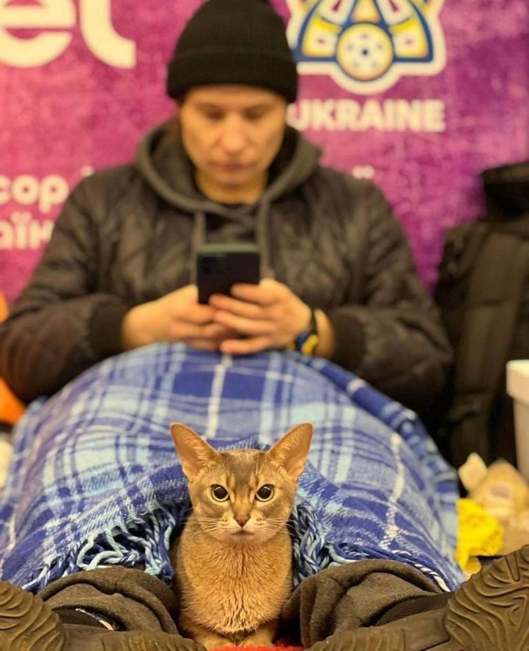 Día 68 de la Guerra de Putin| El enemigo invasor ruso amenaza a los supervivientes en Jersón (Ucrania) para que aceptan a las tropas de ocupación de Rusia como legítimas