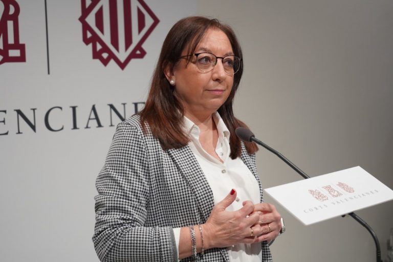 VOX critica que «el Botánico se centre en la financiación mientras tiene su Gobierno hecho unos zorros: casos Puig y Oltra y la posible dimisión de Colomer si se aprueba la tasa turística»