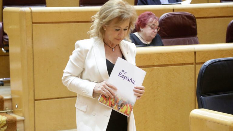 Moción en el Senado por unos «barrios seguros» ante los «No-go zones» y «ocupación ilegal»