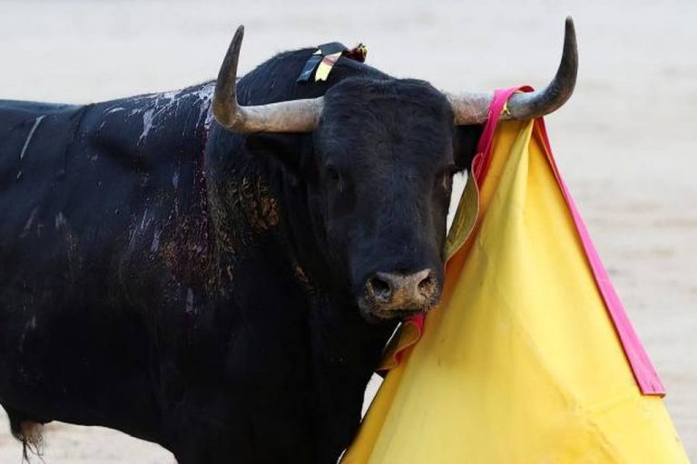 Pamplona (Sanfermines 2022)| La ganadería de Victoriano del Río para la recta final 