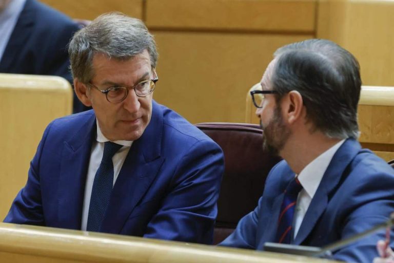 España| Feijóo vota y apoya la reforma para una mayoría de ultraizquierda e izquierda en el Tribunal Constitucional