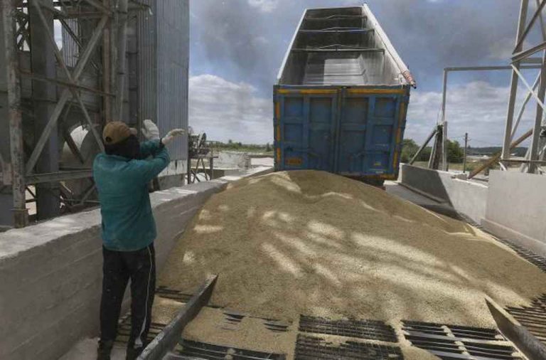 Putin suspende el acuerdo de exportación de grano ucraniano