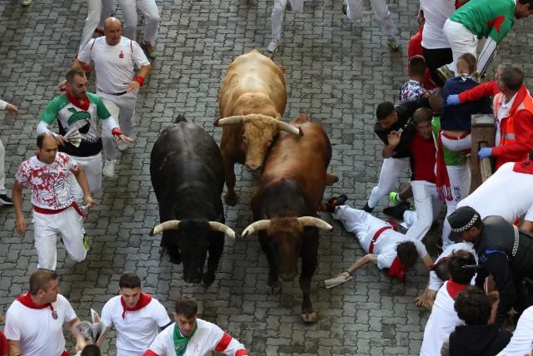 Sanfermines 2022| Una carrera rápida con los toros de la ganadería gaditana de Núñez del Cuvillo abre los encierros 