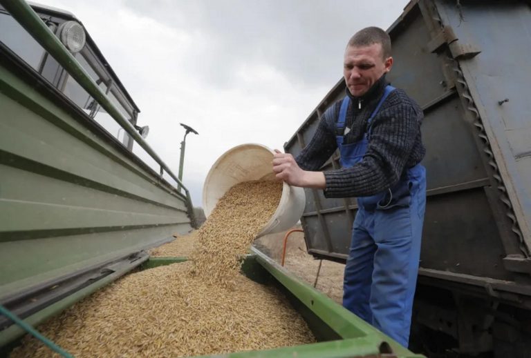 Guerra de Putin| Rusia está exportando a Turquía grano robado de territorios que ocupa en Ucrania