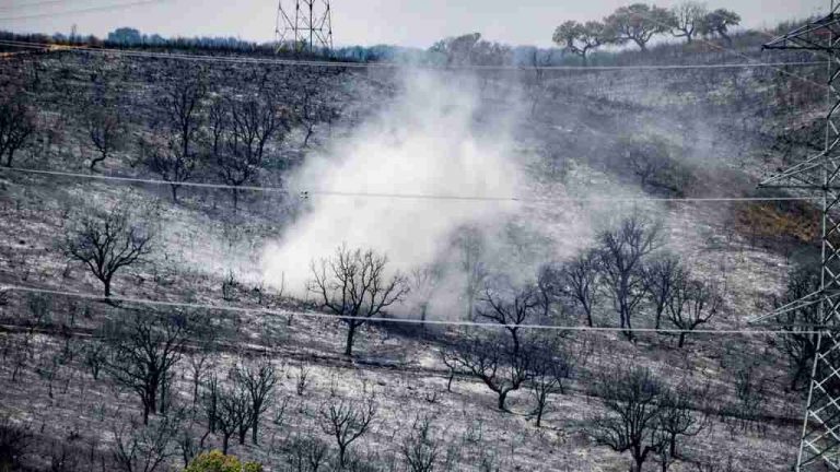 España| El fuego continúa devorando hectáreas de vegetación en Extremadura y Castilla y León en medio de una ola de calor 
