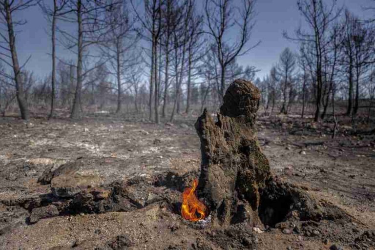 España sufre entre enero y junio 15 grandes incendios forestales