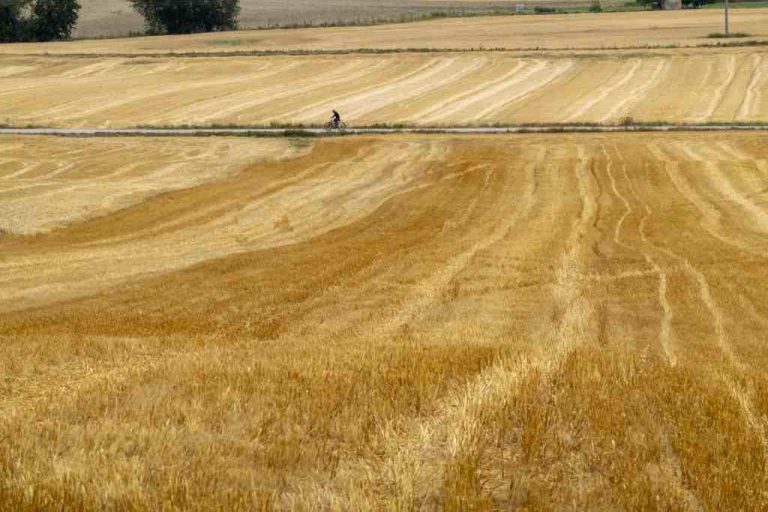El Tiempo España| La tercera ola de calor acaricia el final aunque las temperaturas seguirán siendo altas