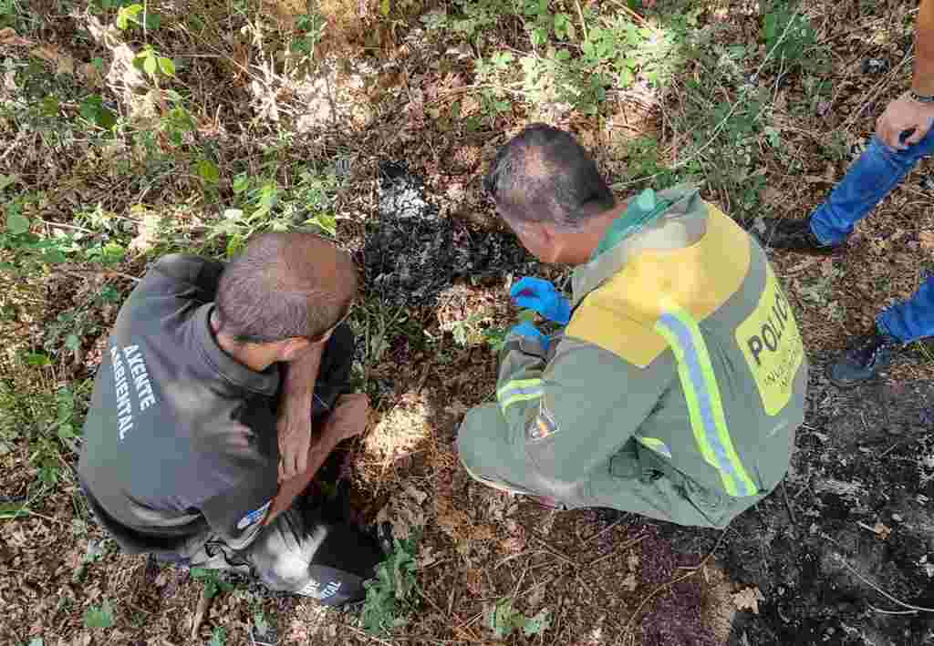 FOTOGRAFÍA. ORENSE (GALICIA) ESPAÑA, 27.08.2022. La Unidad de Investigación de Incendios Forestales (UIFO) pilla 'in fraganti' a una mujer. Efe
