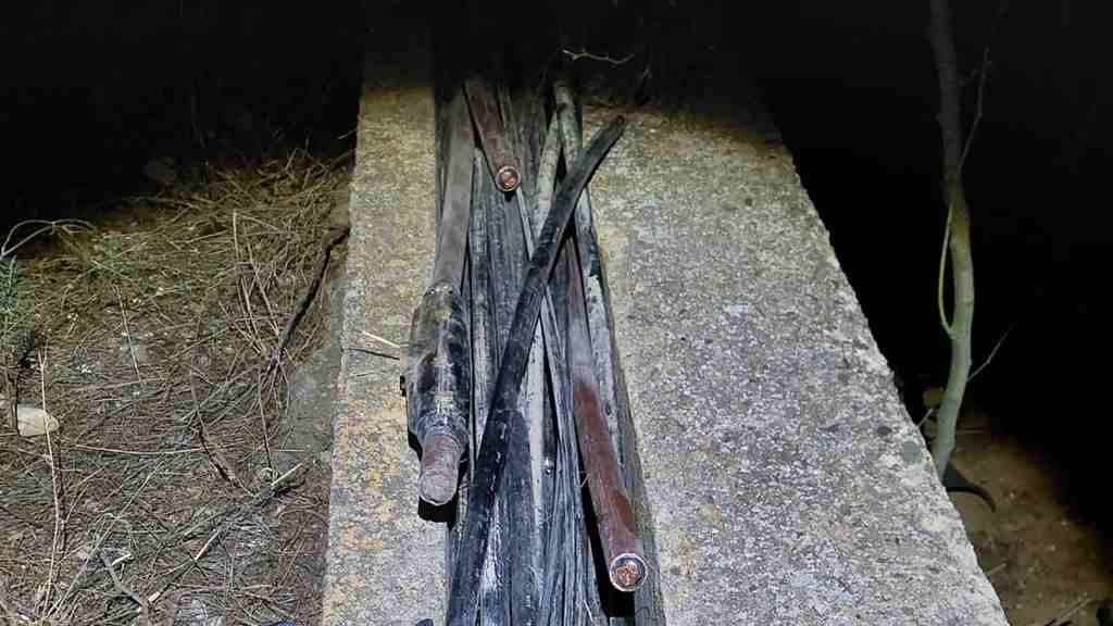 Tren de alta velocidad (AVE). ACN