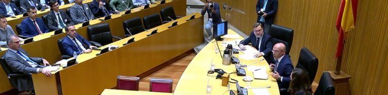 VOX reivindica un Poder Judicial «independiente» para poner freno a «abusos y corruptelas» del PP y PSOE