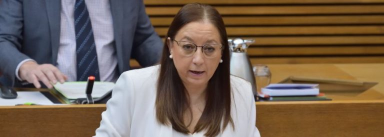 «En la Comunidad Valenciana hay niños que no reciben ni una sola clase en castellano/español»