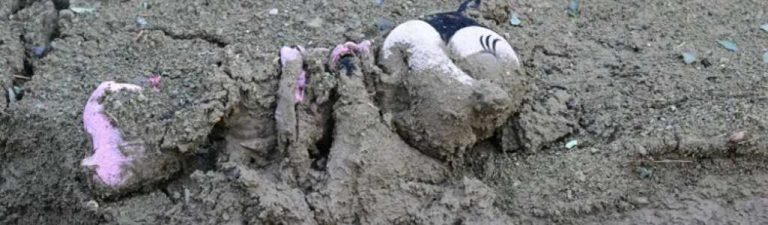 8 fallecidos y 4 desaparecidos en el fango en Ischia (Italia)