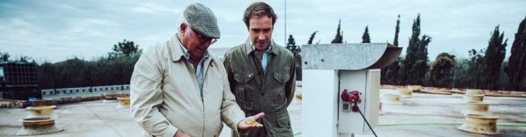 VOX denuncia «situación límite» del sector de la aceituna Manzanilla y Gordal