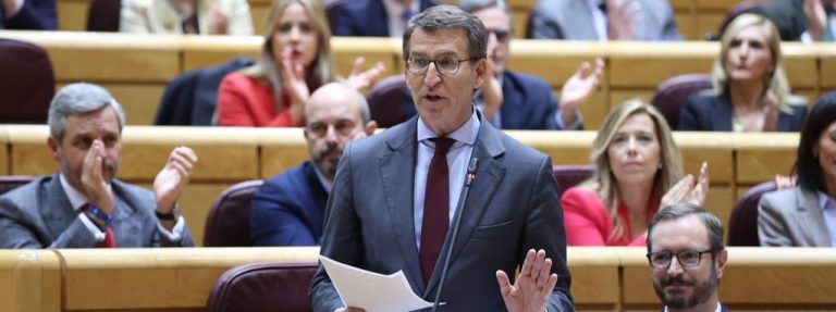 Feijóo: La moción de censura a Sánchez será las elecciones municipales 2023