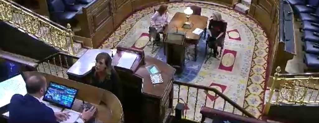Patricia Rueda Parelló, Tribuna del Congreso, VOX