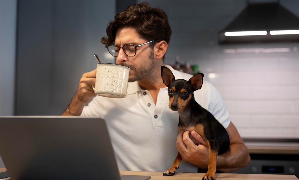 teletrabajo, teletrabajar, desempleo, Lasvocesdelpueblo, emp