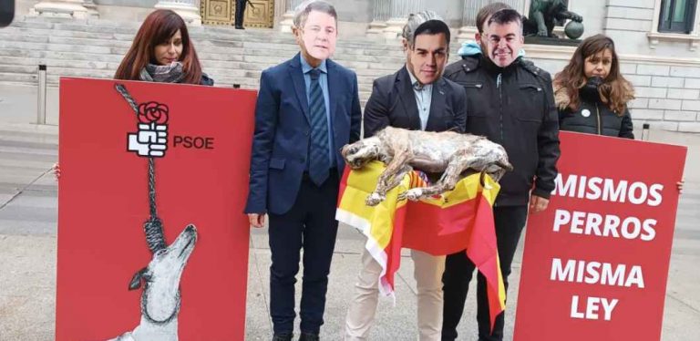 Los «mismos perros. Misma Ley»