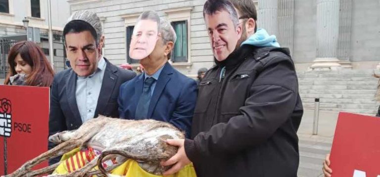 PSOE excluye a los perros de caza de la ley animal