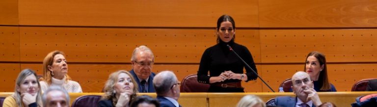 Millán a Sánchez: «Si hay un partido español cuyo pasado está marcado por golpismo ese es el PSOE»