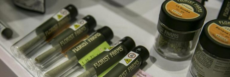 EEUU| Cientos de personas acuden a la primera tienda legal de marihuana (cannabis) en Nueva York