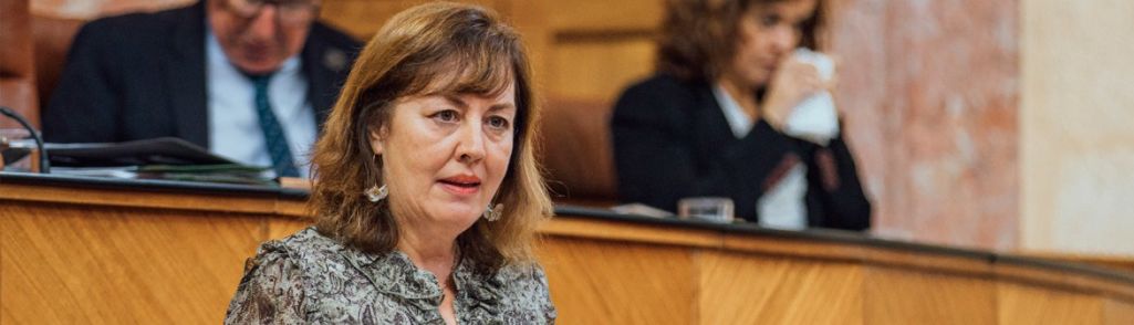 FOTOGRAFÍA. SEVILLA (ESPAÑA), 21.12.2022. La diputada del Grupo Parlamentario VOX (GP VOX) en el Parlamento de Andalucía por Granada, Cristina Jiménez Jiménez. Ñ Pueblo