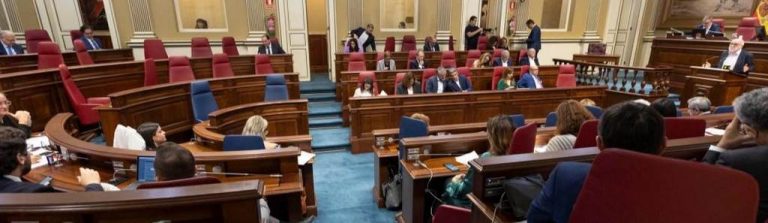 El PP deja el pleno Parlamento canario tras denuncia de «golpe de togas y gaviotas»