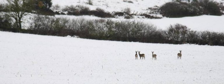 El Tiempo España| Este sábado nevadas en cotas bajas en el nordeste peninsular y en Baleares