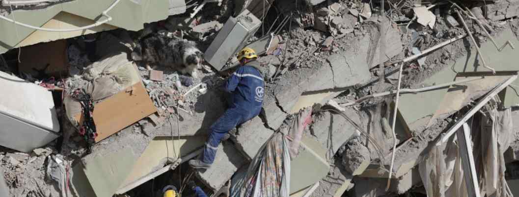 FOTOGRAFÍA. KAHRAMANMARAS (TURQUÍA), 11.02.2023. El equipo de rescate francés Corps Mondial de Secours con su perro de búsqueda busca supervivientes del terremoto. Efe