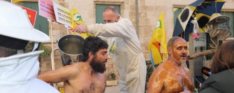 Apicultores denuncian «políticas continuas de acoso y derribo» del gobierno tripartito socialista ante las Cortes Valencianas