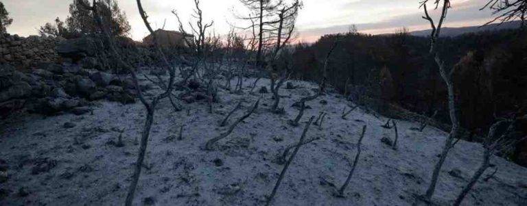 Incendio Castellón| Noche tranquila y operaciones de bomberos en puntos calientes