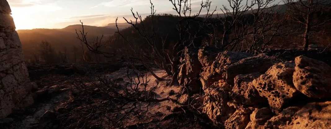FOTOGRAFÍA. LOS PEIRÓS (TERUEL) ARAGÓN (ESPAÑA), 26.03.2023.- Vista de una zona arrasada por las llamas a primeras horas de la mañana de este domingo cerca de la aldea de Los Peirós (Teruel). Efe (3)