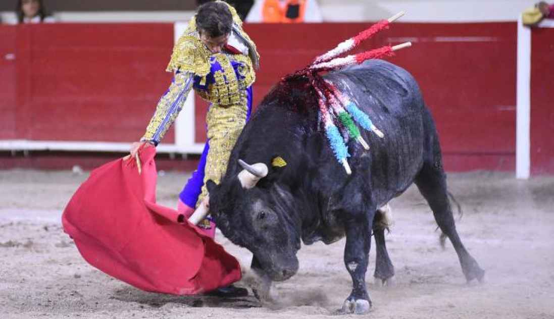 El español Fernando Robleño, lidia a su toro Gran Amigo de 528 kg en México. Efe (1)