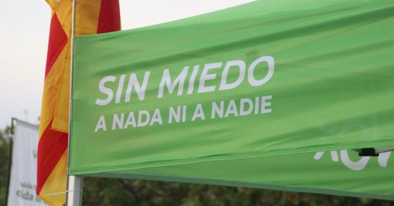 Tenerife| VOX registra una candidatura definitiva al 23J y «tomará medidas» contra quienes «han tratado de hurtar a los tinerfeños sus derechos políticos»