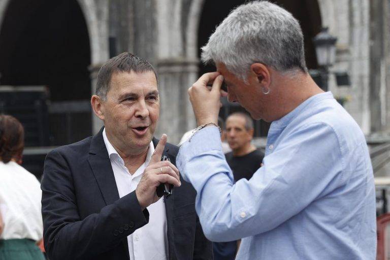 Bildu: «El PP es un partido de ultraderecha fundada por 7 ministros de Franco»