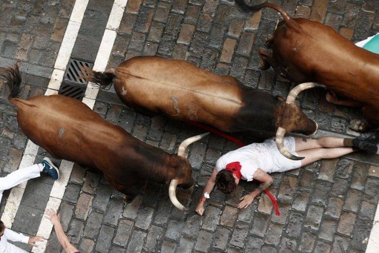 Los toros la gaditana de La Palmosilla abren los encierros de los Sanfermines de 2023
