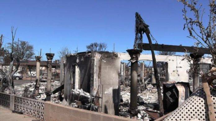 incendio Lahaina (Estados unidos) (3)