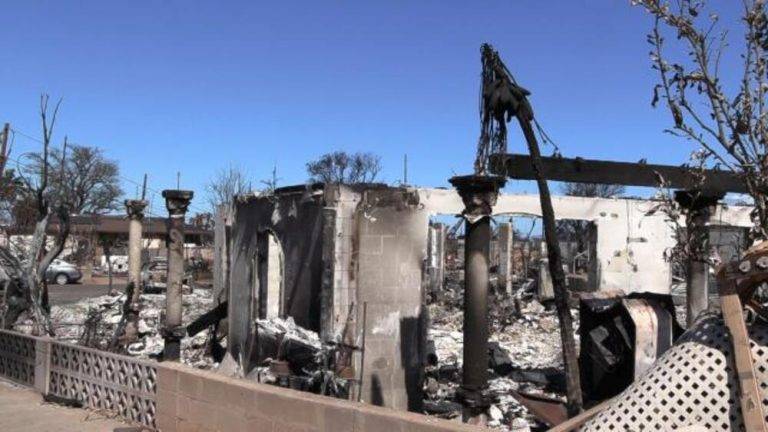 Incendio EEUU| Más de 115 muertos y 388 desaparecidos en Maui