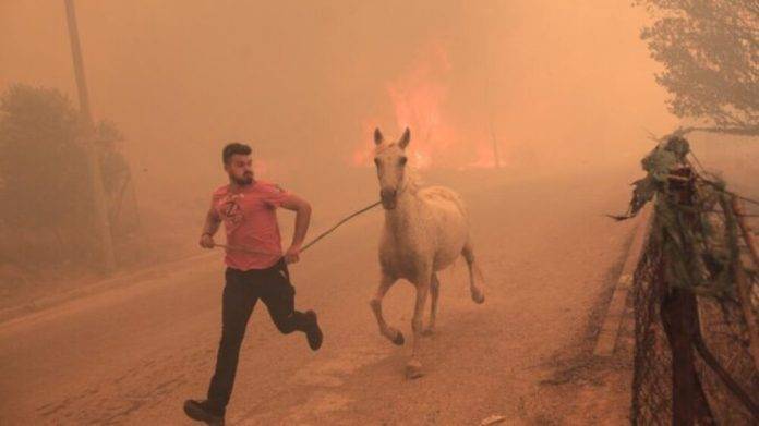 Encuentran a 18 inmigrantes muertos por los incendios en el noreste de Grecia