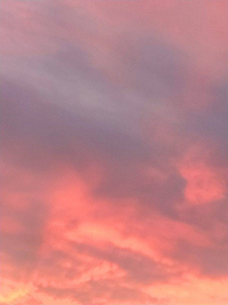 Temperaturas altas en España