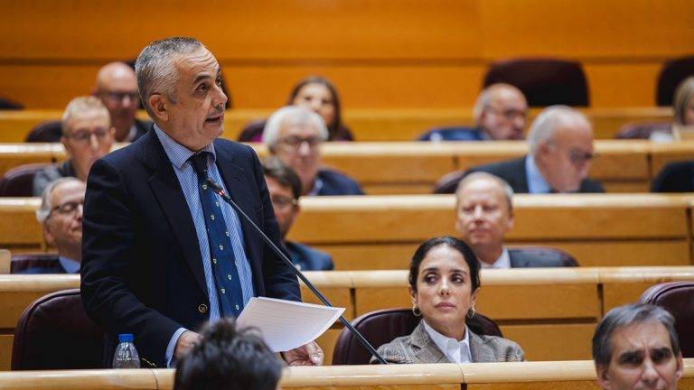 Pelayo: «Ahora pretende aprobar una amnistía inconstitucional: una voladura del Estado social y democrático de derecho»