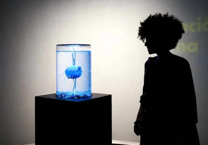 FOTOGRAFÍA. BARCELONA (ESPAÑA), 17 DE OCTUBRE DE 2023. Detalle de una exposición sobre inteligencia artificial en el Centro de Cultura Contemporánea de Barcelona (CCCB). Efe