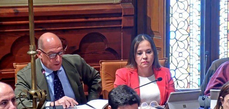 Sitges| VOX al antimilitarismo: «Viva España y el Ejército»