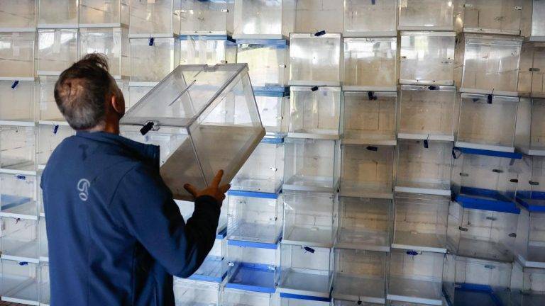 Claves del 18F Galicia