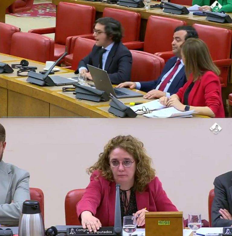 ERC intenta expulsar a VOX de España