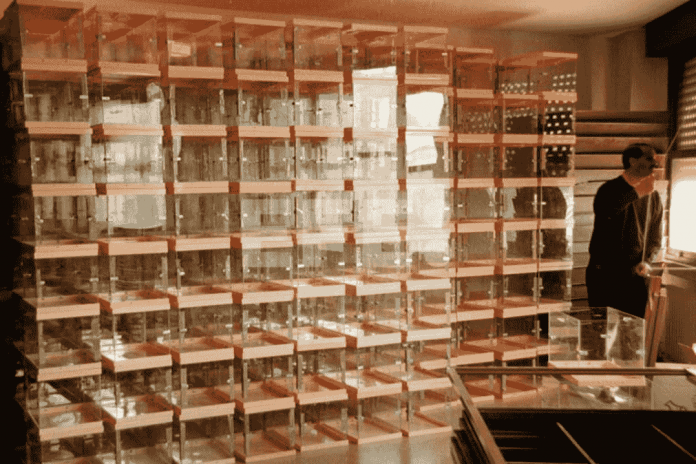 1.795.212 vascongados llamados hoy a las urnas del 21A, elecciones vascas, 21A vasco FOTOGRAFÍA. BILBAO (LAS VASCONGADAS) REINO DE ESPAÑA, 21 DE SEPTIEMBRE DE 1998. 1.795.212 vascongados llamados hoy a las urnas del 21A. Un funcionario electoral supervisa las urnas de las elecciones autonómicas de la Comunidad autónoma española de Las Vascongadas de este mes de septiembre de 1998. Efe