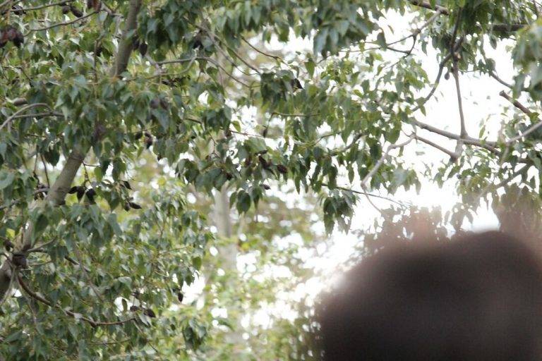 FOTOGRAFÍA. BARCELONA (REINO DE REINO DE ESPAÑA), 26 DE ABRIL DE 2024. Tiempo anticiclónico en casi toda España. Primer mitin de campaña electoral de VOX para las elecciones catalanas del próximo domingo 12 de mayo de 2024. "En defensa propia", han participado: la candidato número dos de VOX por Barcelona al Parlament de Catalunya, María Elisa García Fuster, el candidato número 3 por Barcelona, Joan Garriga Doménech; la portavoz del Grupo Parlamentario de VOX en el Congreso de los Diputados, María José Rodríguez de Millán Parro (Pepa Millán); y el candidato de VOX a President del Govern de la Generalitat de Cataluña y cabeza de lista por Barcelona, Ignacio Garriga Vaz de Conceiçao, en la Rambla Prim con Avenida Diagonal de Barcelona, donde se ha podido registrar carteles de propaganda electoral del prófugo de la Justicia española y candidato de la derechista cobarde separatista Junts per Catalunya (JxCat), Carles Puigdemont Casamajó, y sobre todo el orgullo español y muñeco de Puigdemont preso en una carpa de campaña electoral de VOX. Temperaturas, sombrillas, el tiempo. Lasvocesdelpueblo (Ñ Pueblo)