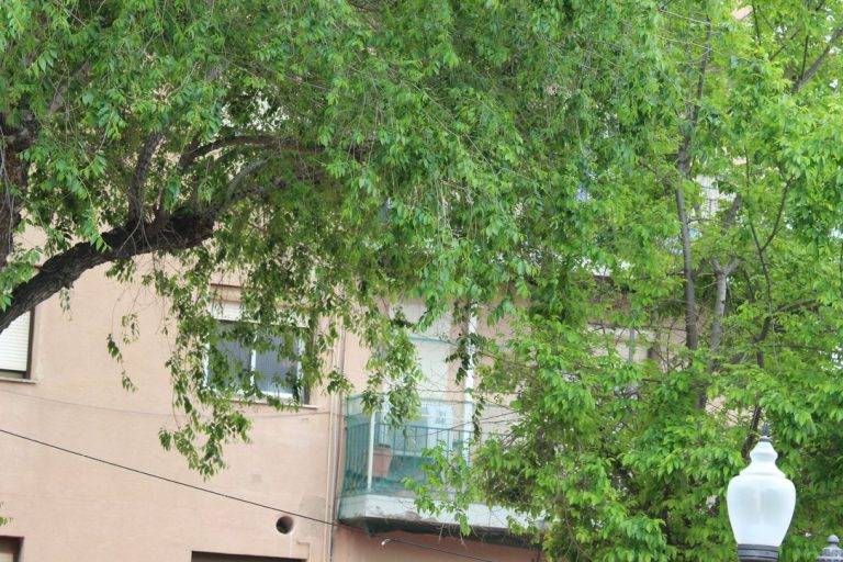 FOTOGRAFÍA. PLAZA DE LA CONSTITUCIÓN ESPAÑOLA DEL BARRIO BONAVISTA DE LA CIUDAD DE TARRAGONA (TARRAGONA) CATALUÑA (REINO DE ESPAÑA), 28 DE ABRIL DE 2024. Estabilidad con cielos poco nuboso en el Reino de España. Las temperaturas tenderán a subir en España de forma generalizada. Campaña Electoral Elecciones Catalanas del 12 de mayo de 2024 (12M). "Cataluña no aguanta más legislatura de chaladura separatista". Así sentenció hoy el candidato de VOX por Tarragona al Parlament de Catalunya para las elecciones 12M, Sergio Macián de Greef, fuertemente arropado por la cúpula nacional de VOX, liderada por el presidente del partido, Santiago Abascal Conde -quien se ha estrenado hoy en la campaña electoral catalana después de su histórica aparición en precampaña en Tarrasa (Barcelona)- y por el secretario general de VOX y candidato a President del Govern de la Generalitat de Catalunya, Ignacio Garriga Vaz de Conceiçao. Estuvieron presentes entre los integrantes de la candidatura del candidato Marcián, su número 2, Javier Ramírez Gutiérrez; su número 3, Isabel Lorenzo Medina; su número 4, Ricard Montero i Meca; su número 5, Isabel Segarra Clemente; su número 6, Paul Daniel Axinte; su número 7 y portavoz del Grupo Municipal en el Ayuntamiento de Tarragona, Judith Gómez García, entre otros, y varios centenares de simpatizantes y militantes -entre ellos los concejales y la  diputada provincia tarraconense, Ana Belén Rodríguez Ros, en la emblemática plaza de la Constitución española en Tarragona. Lasvocesdelpueblo (Ñ Pueblo)