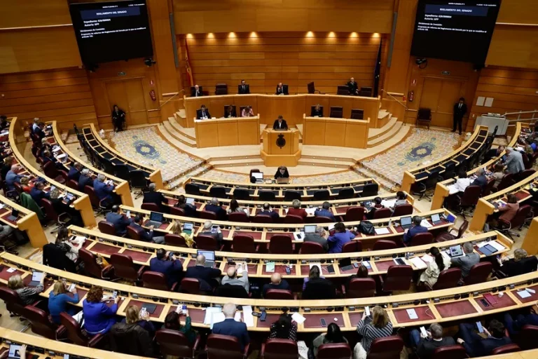 FOTOGRAFÍA. MADRID (REINO DE ESPAÑA), 03 DE ABRIL DE 2024. La amnistía alenta movimientos separatistas e insurrección. Detalle del hemiciclo del Senado del Reino de España durante un Pleno de esta cámara Alta del país de don Quijote. Efe